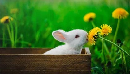 C7娱乐|篮球赛事v8.4.9