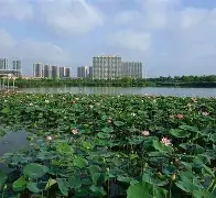 绿城客场小胜，小幅提升排名表现优异的简单介绍